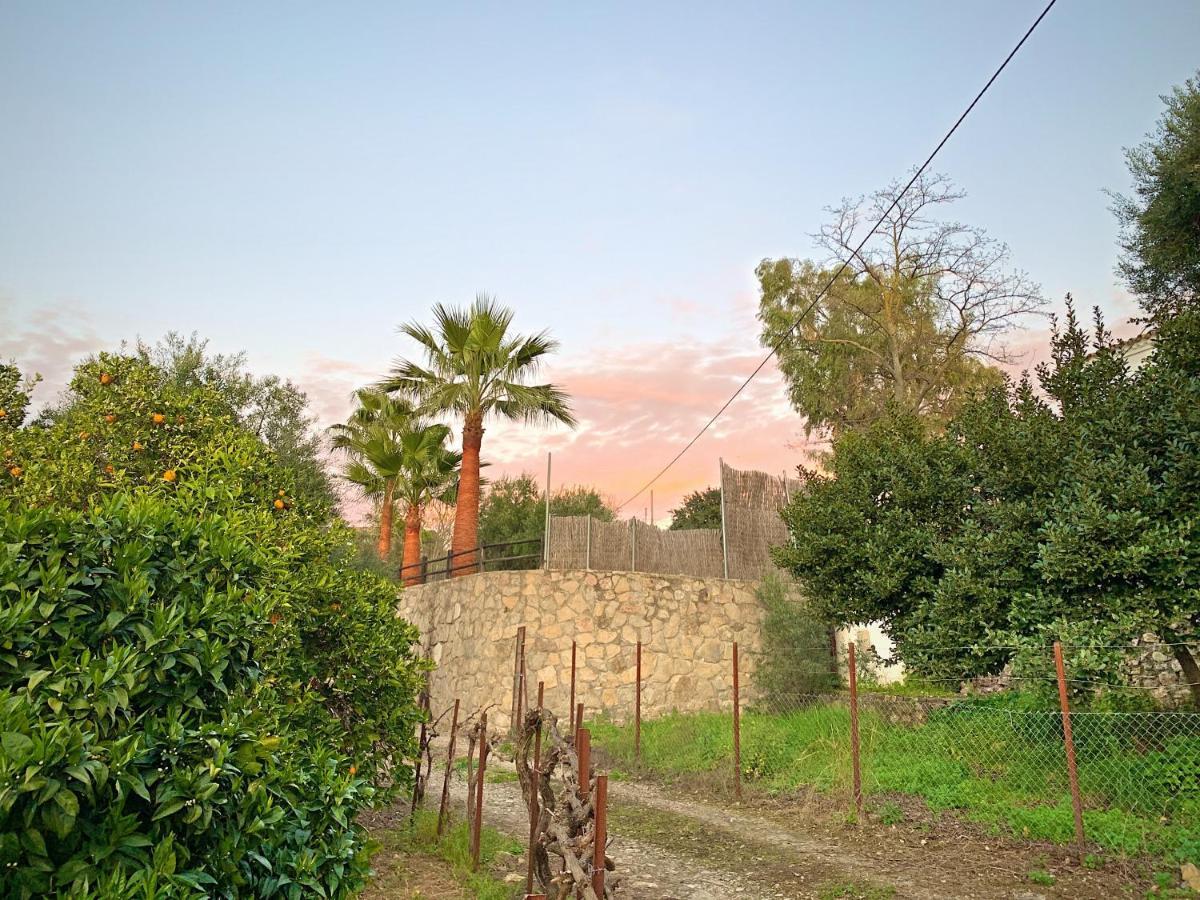 Vivelorural Casa Y Piscina En Zahara De La Sierra Villa Buitenkant foto