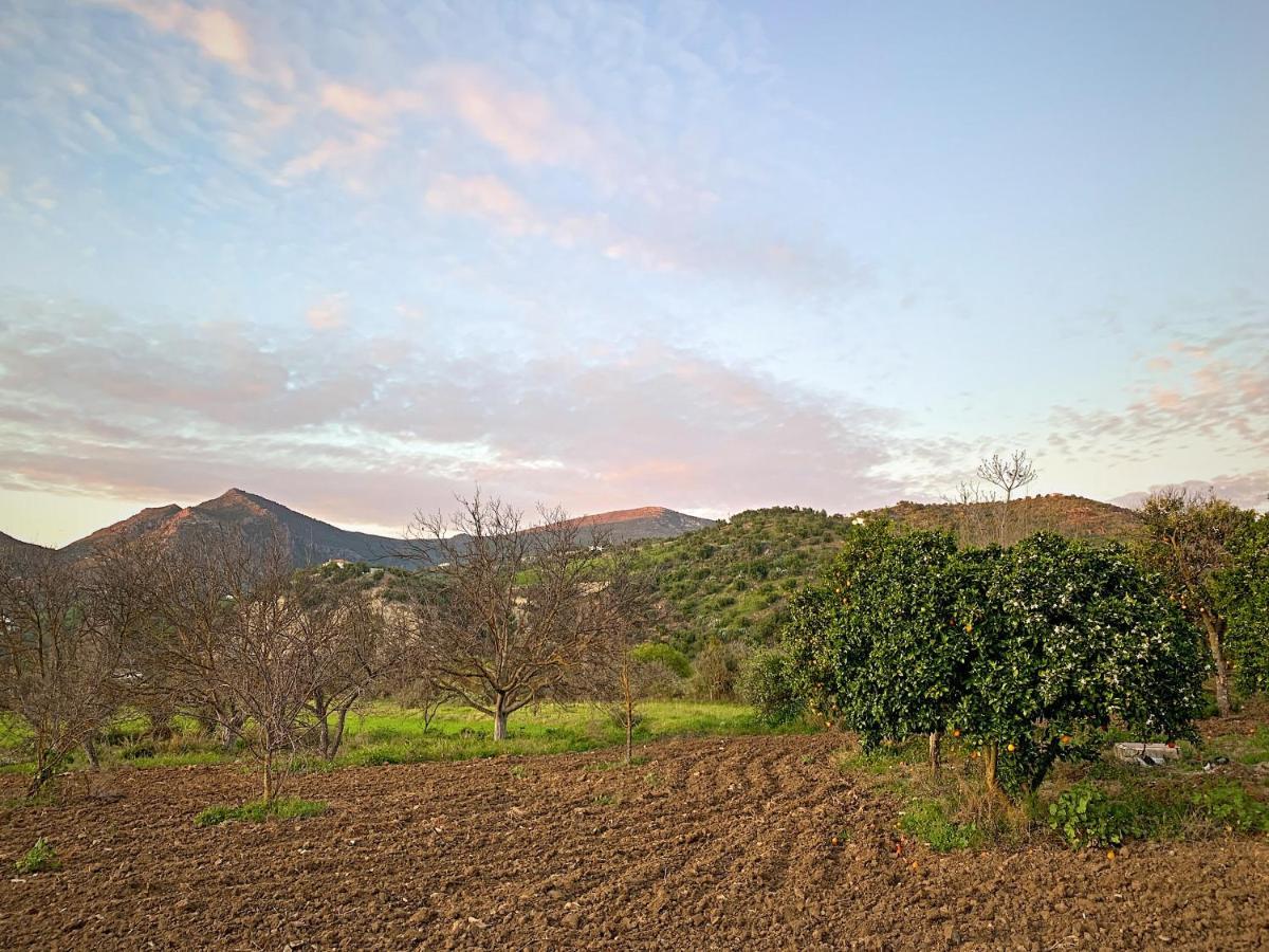 Vivelorural Casa Y Piscina En Zahara De La Sierra Villa Buitenkant foto